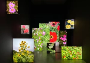 Choosing an Indoor LED Panel Screen for Clarity, Comfort, and Long-Term Use